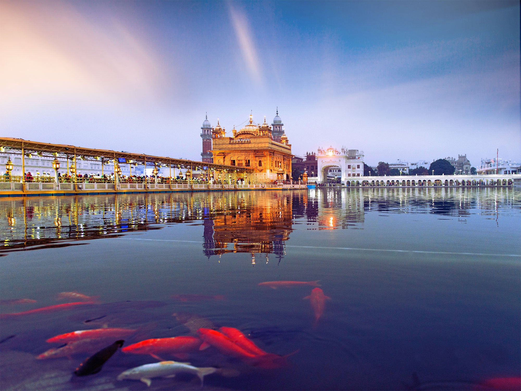 Magical Golden Temple