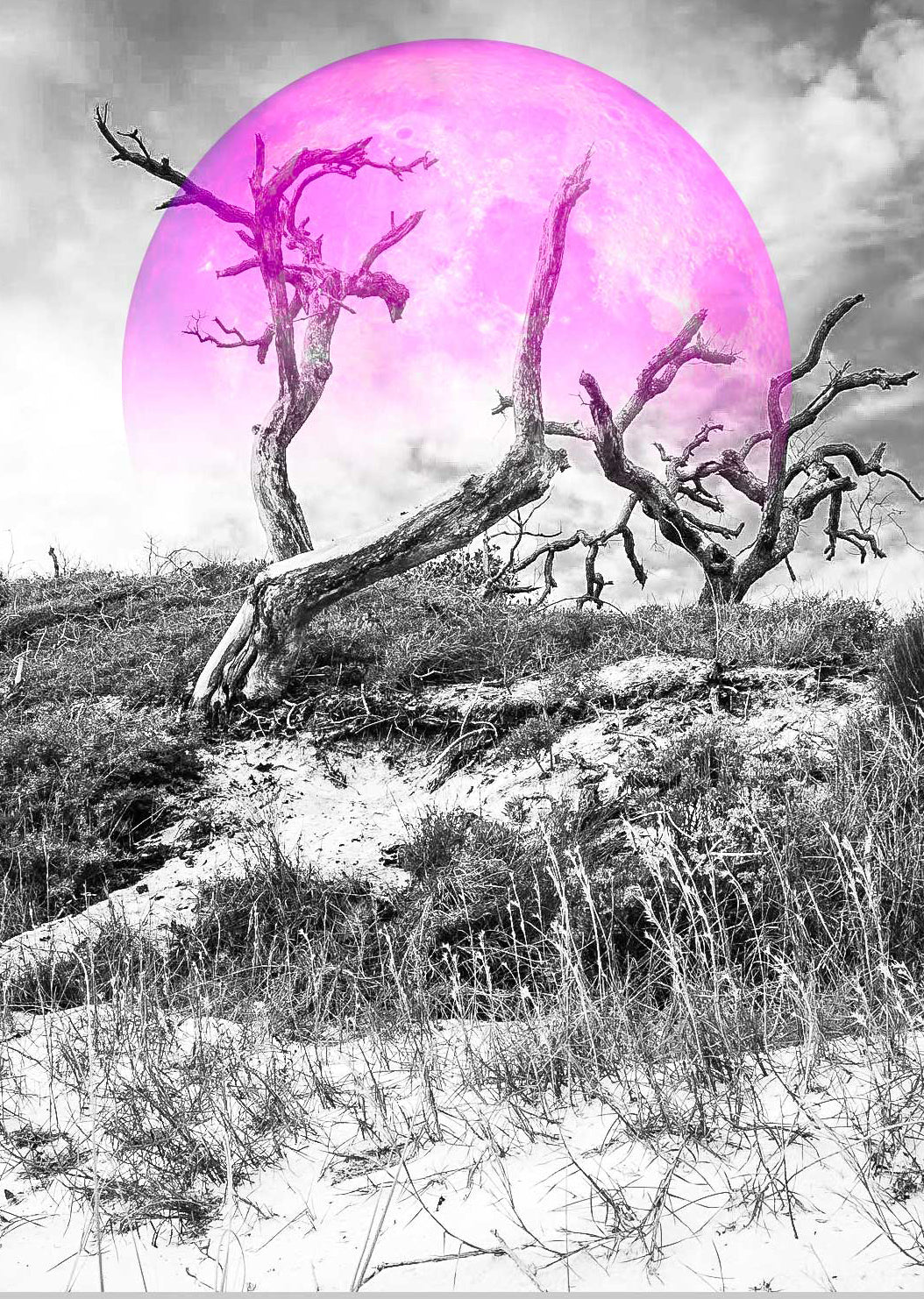 Pink Moon Series - Landscape