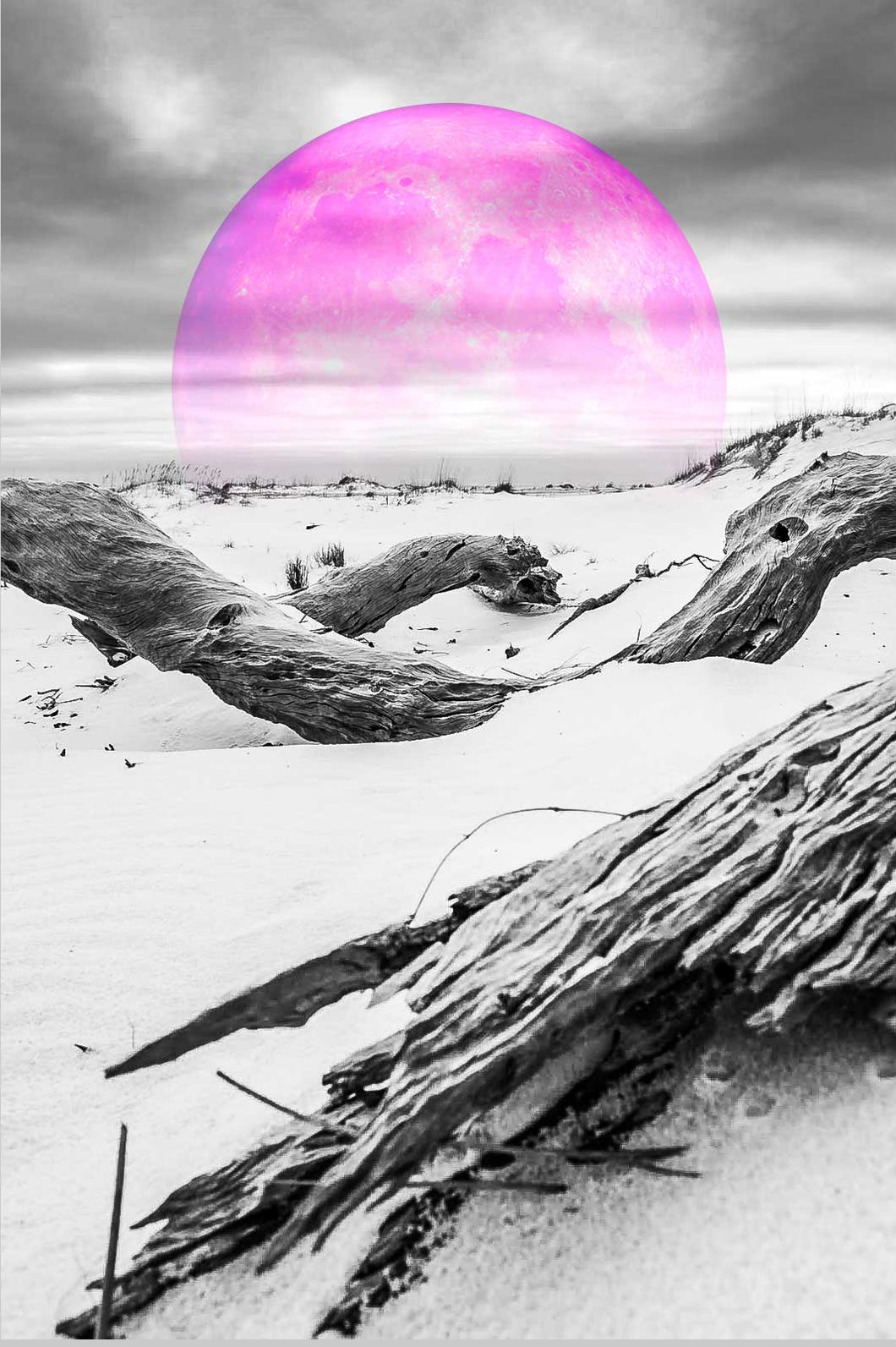 Pink Moon Series - Driftwood