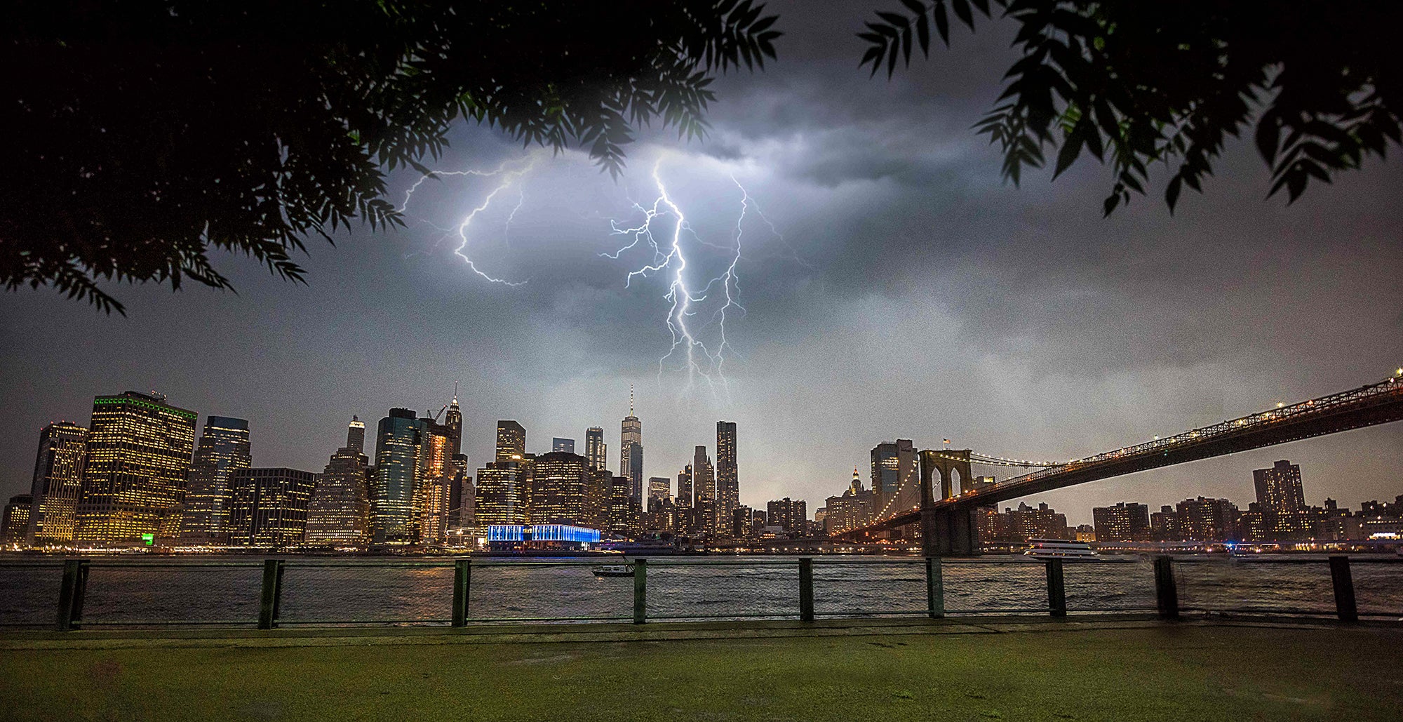 NYC Thunder